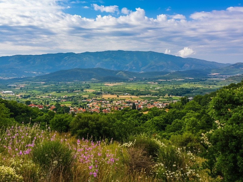 Αγιά (Λάρισας)