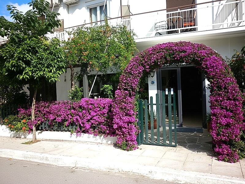 Ritsa Hotel