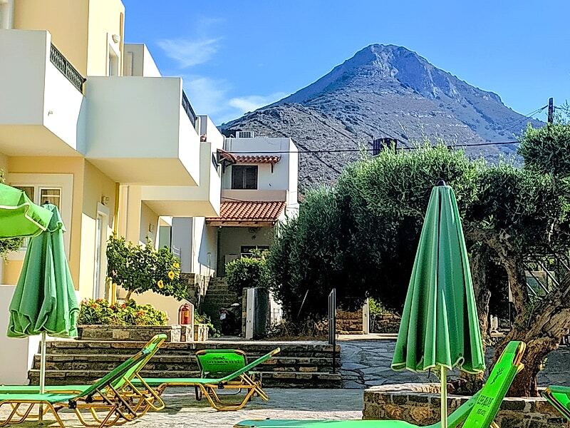 Olive Grove Apartments