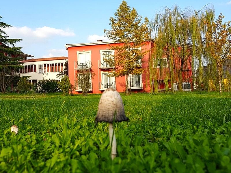 Aigai Hotel
